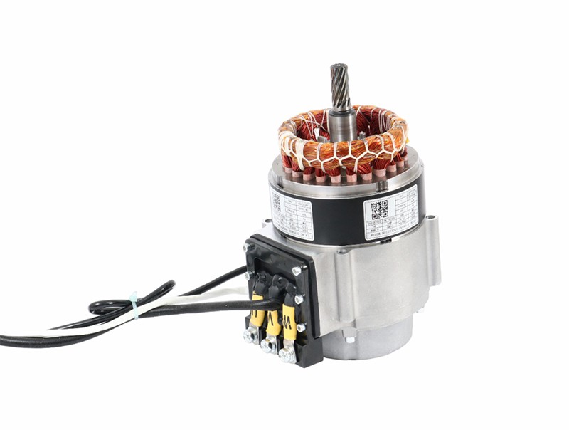 Low Voltage Ac Forklift Motor
